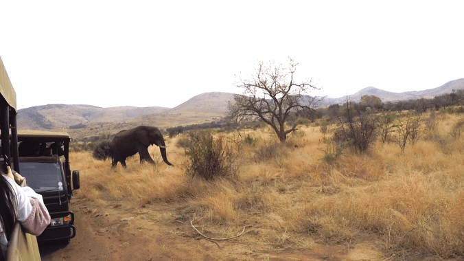 Screen Shot 2017-10-08 at 10.01.41 pm