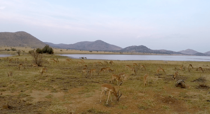 Screen Shot 2017-10-08 at 10.05.12 pm