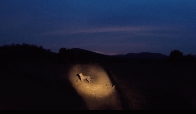 Screen Shot 2017-10-08 at 10.13.05 pm