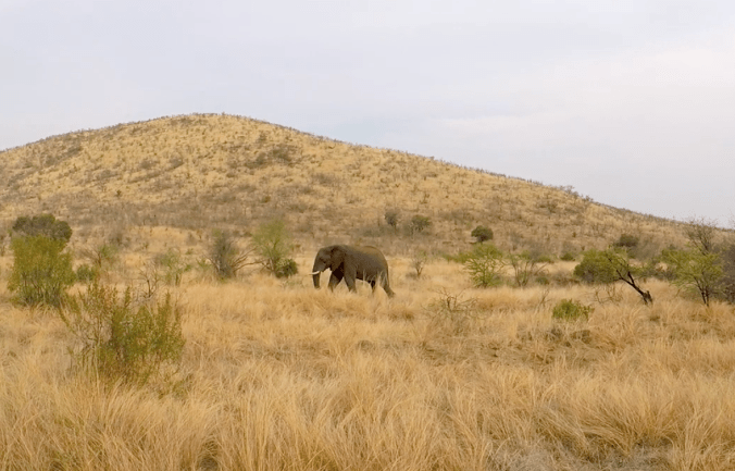 Screen Shot 2017-10-08 at 9.58.26 pm