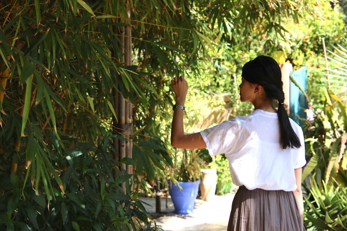 20190315202100_IMG_4656